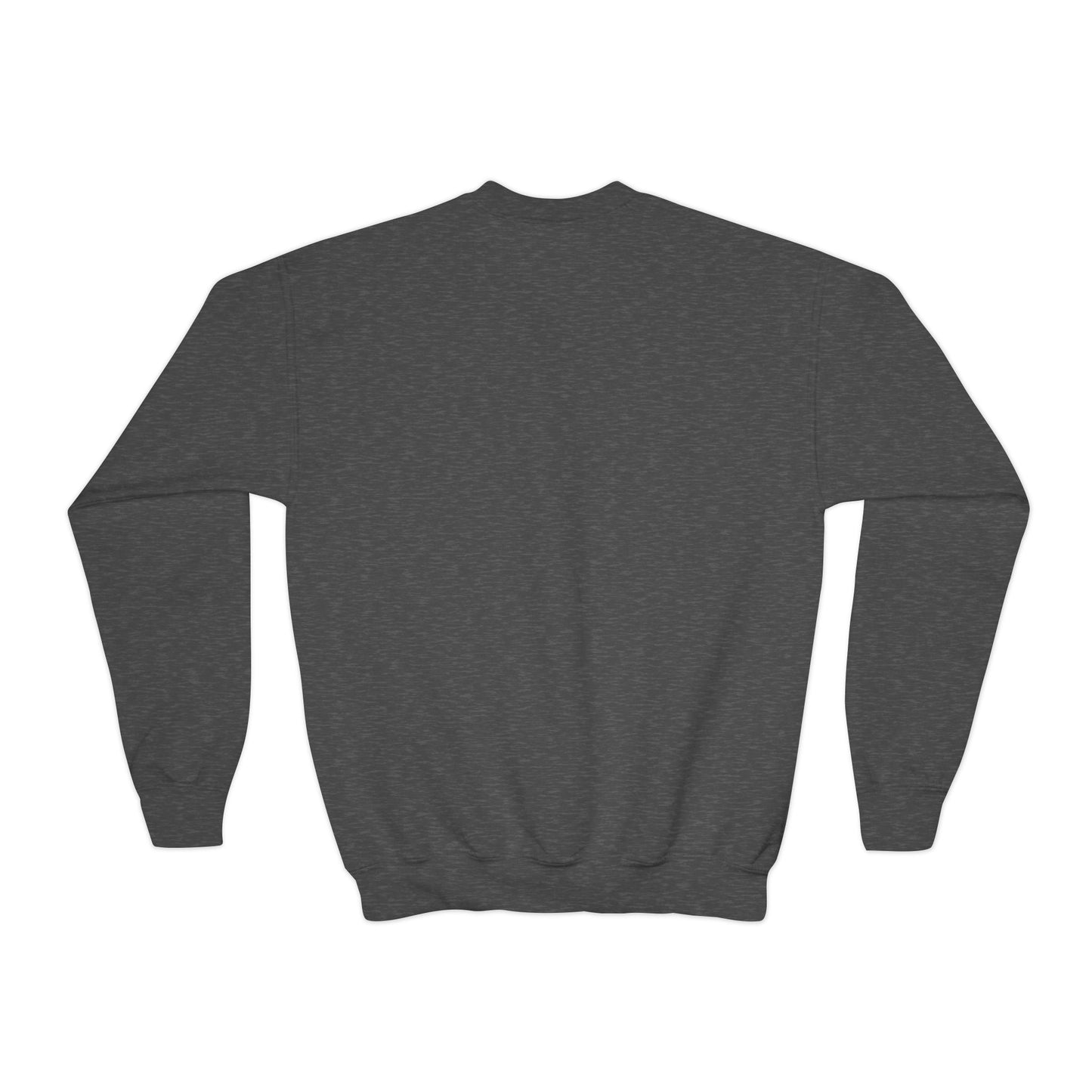 Mustangs Youth Crewneck Sweatshirt